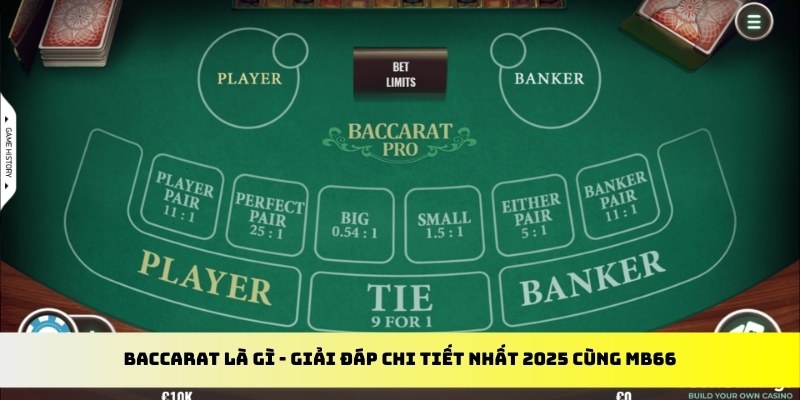 sun win casino là gì